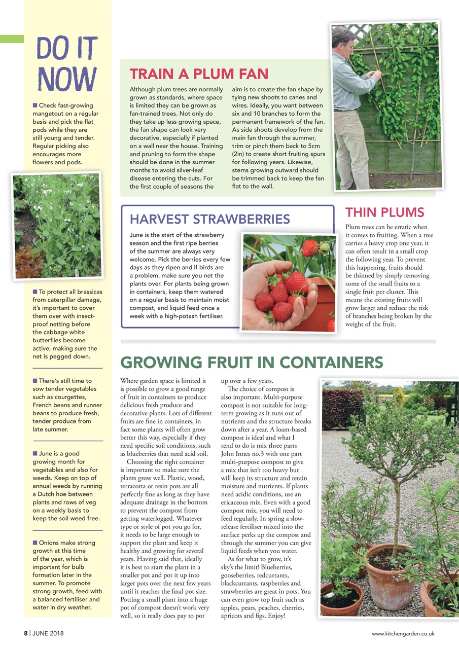 Kitchen Garden Magazine Preview Pages