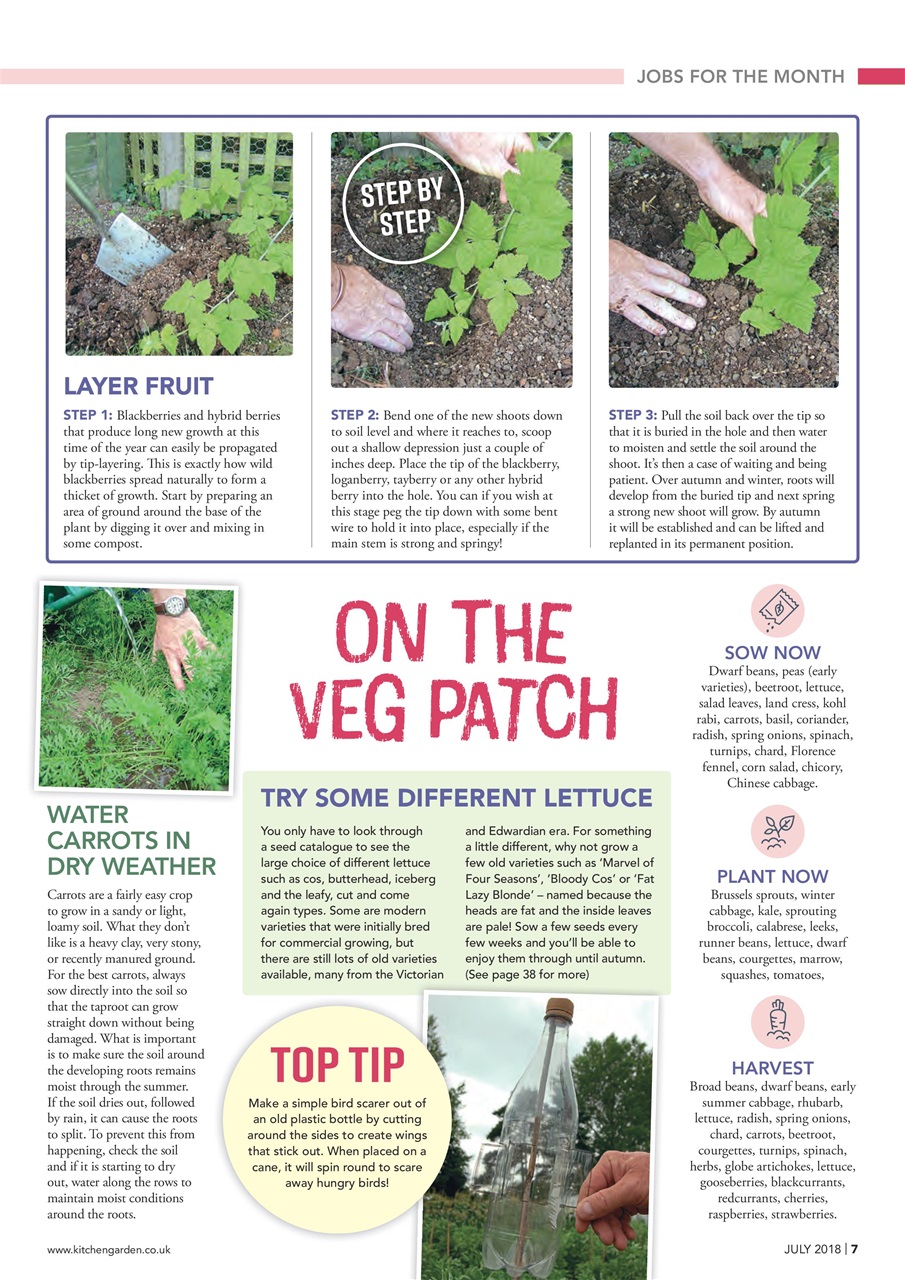 Kitchen Garden Magazine Preview Pages