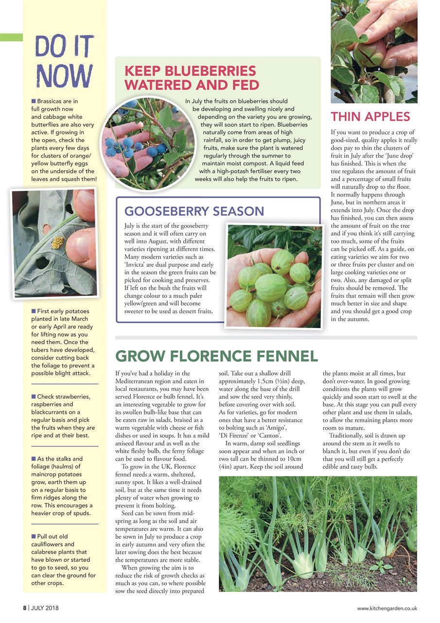 Kitchen Garden Magazine Preview Pages