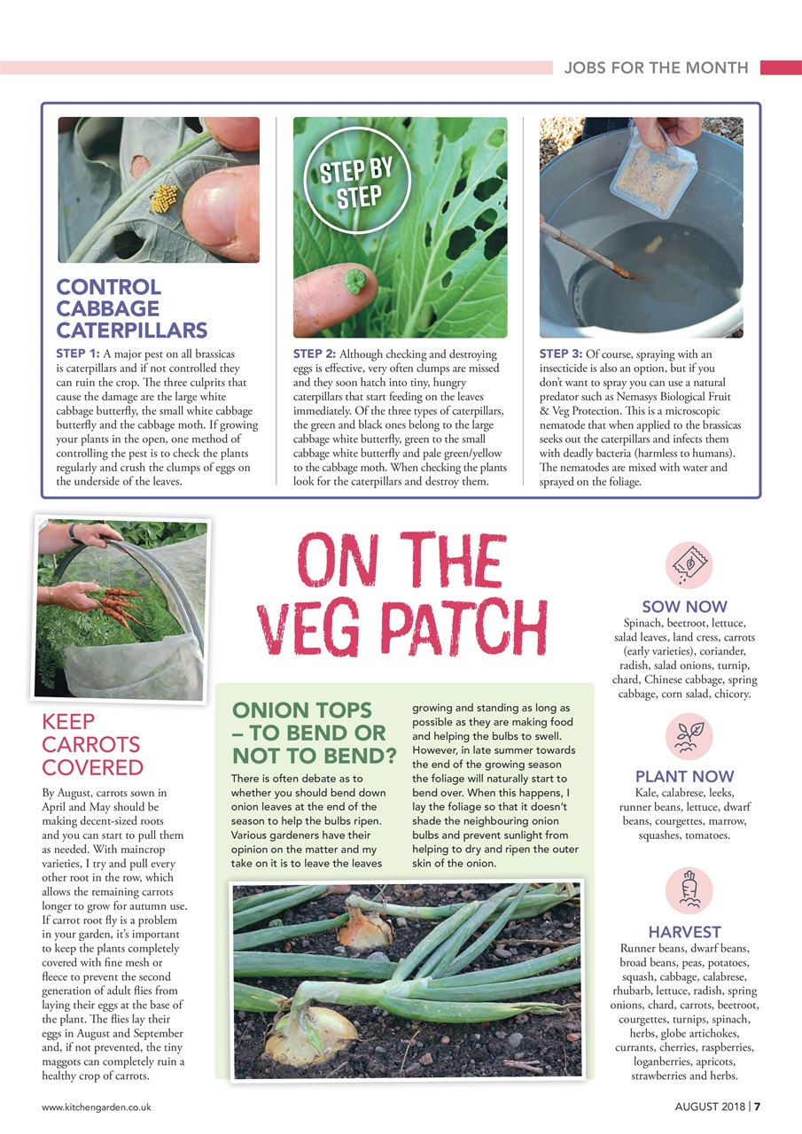 Kitchen Garden Magazine Preview Pages