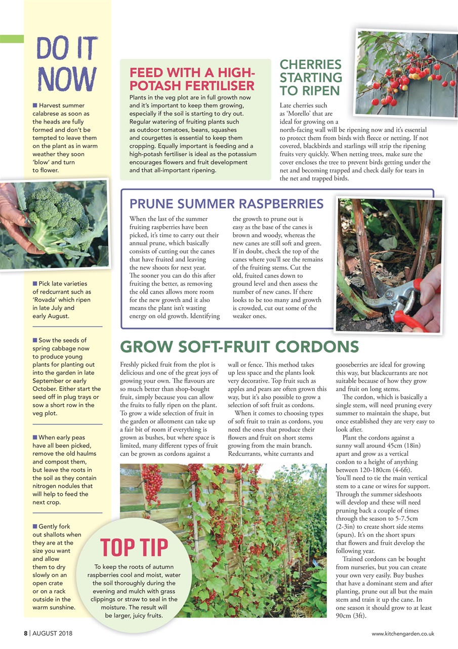 Kitchen Garden Magazine Preview Pages