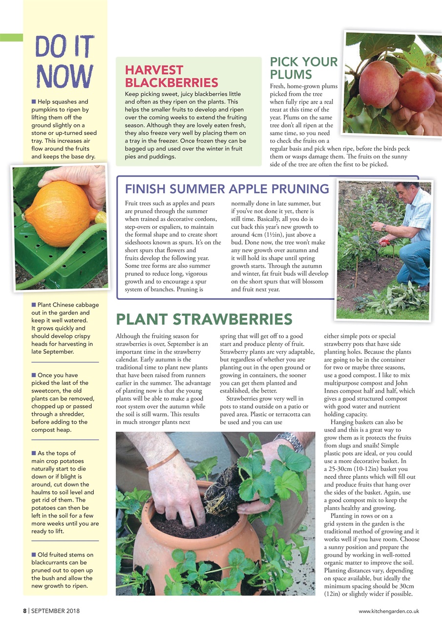 Kitchen Garden Magazine Preview Pages