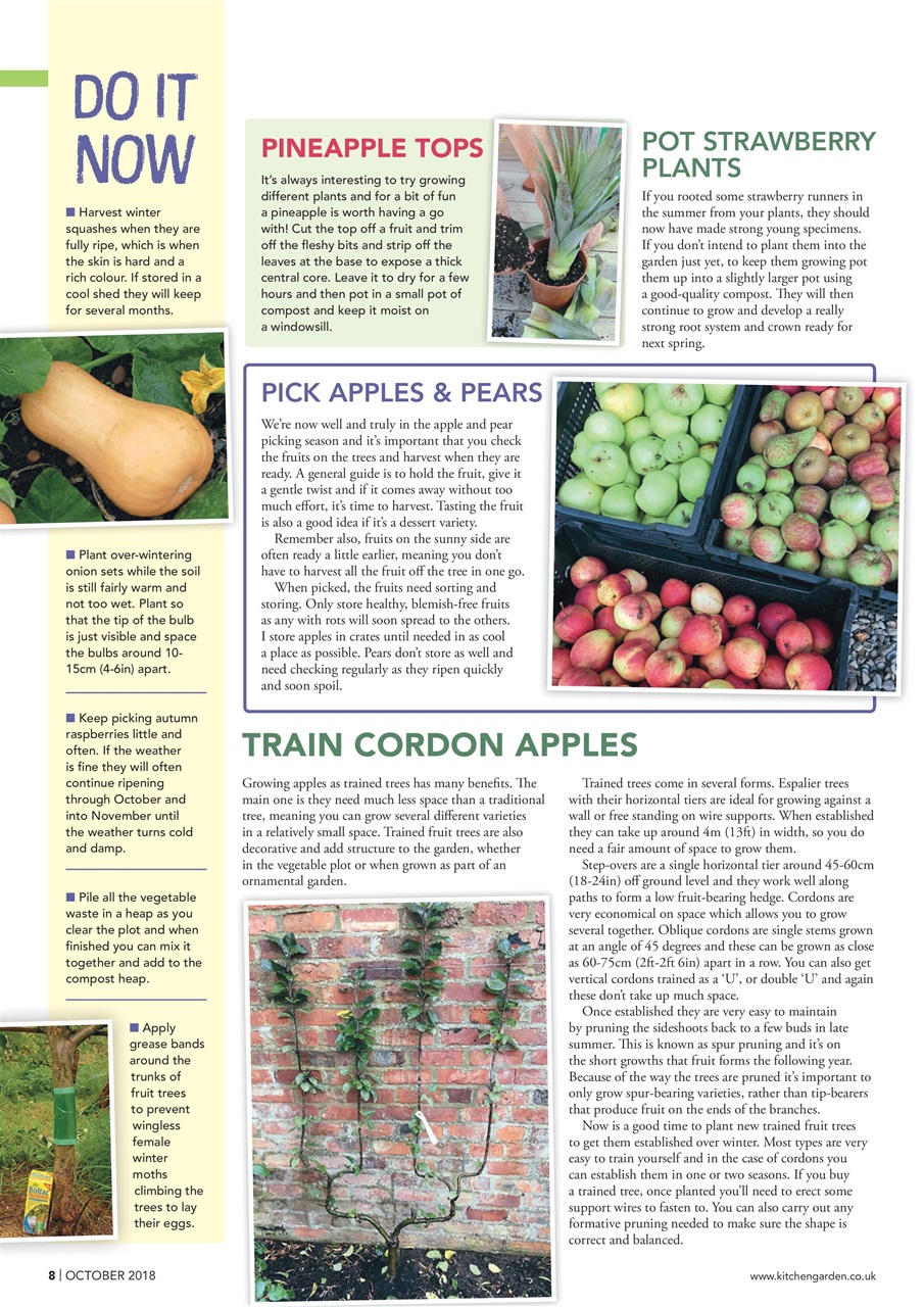 Kitchen Garden Magazine Preview Pages