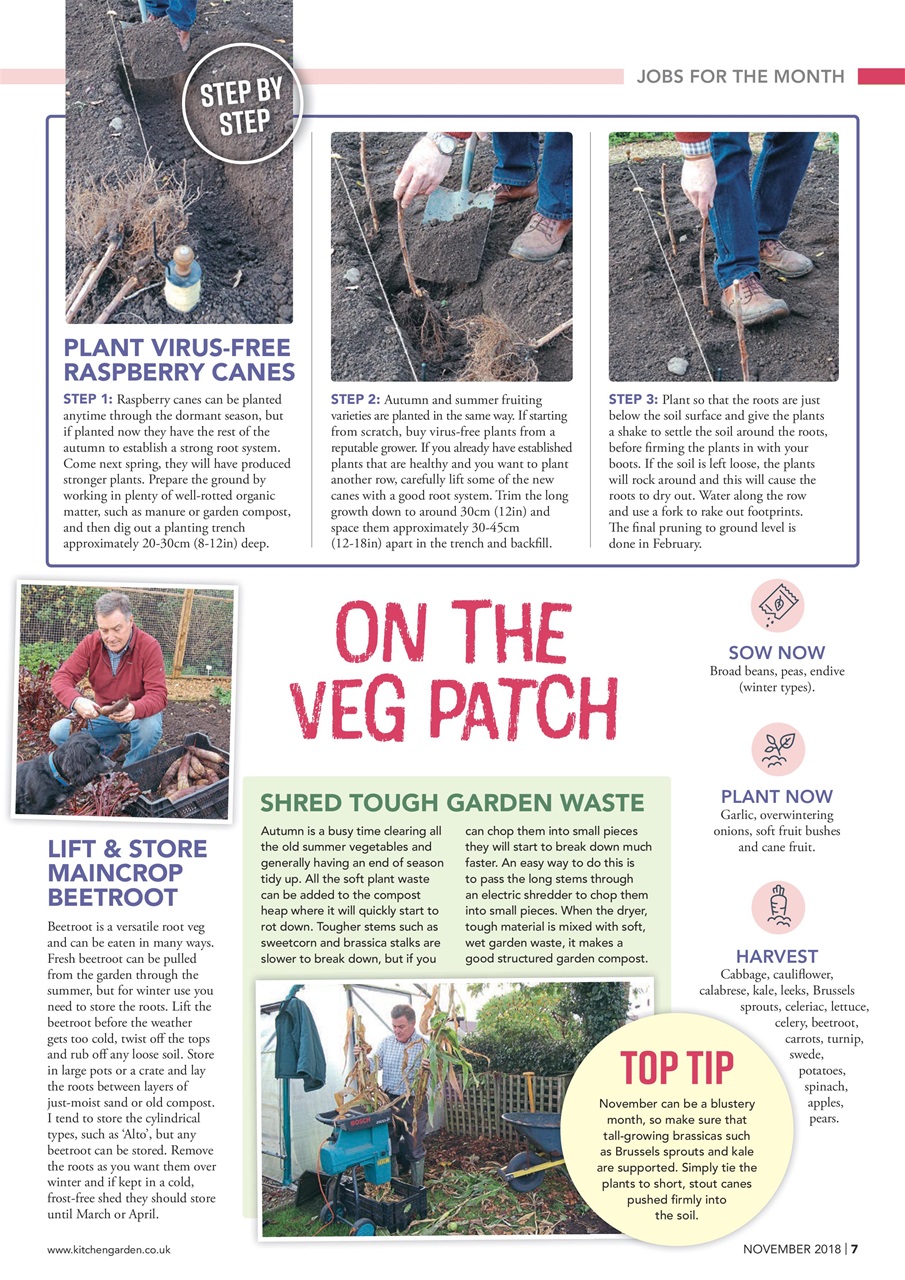 Kitchen Garden Magazine Preview Pages