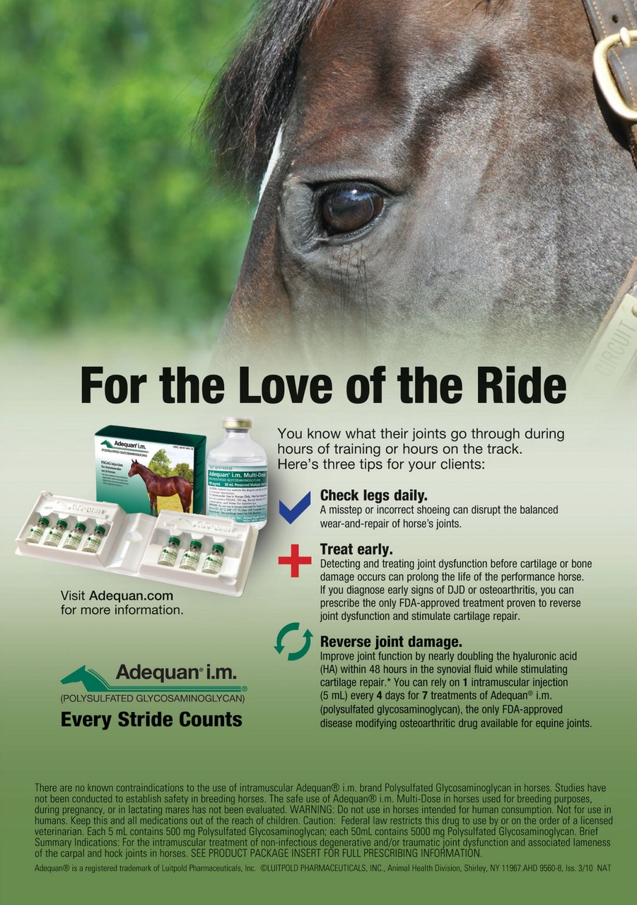 North American Trainer Magazine - horse racing Preview Pages