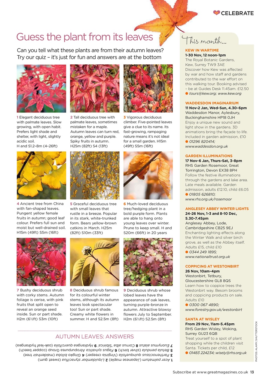 Garden Answers Preview Pages
