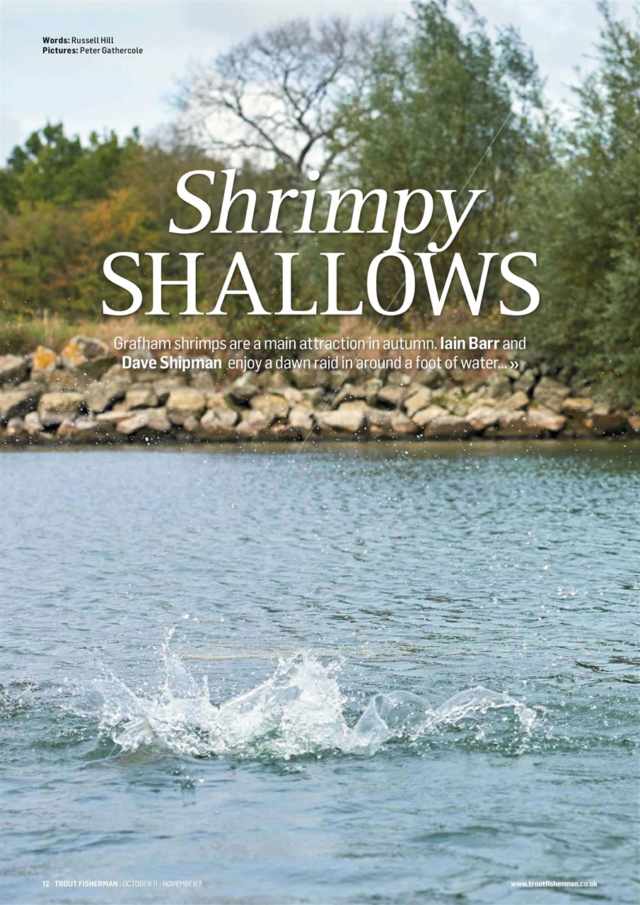 Trout Fisherman Preview Pages