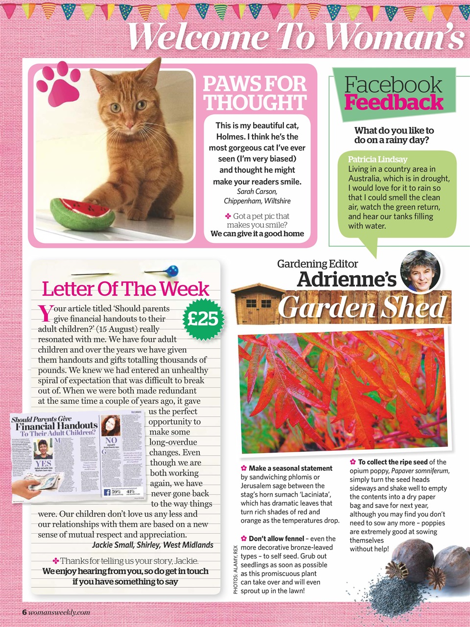 Woman's Weekly Preview Pages
