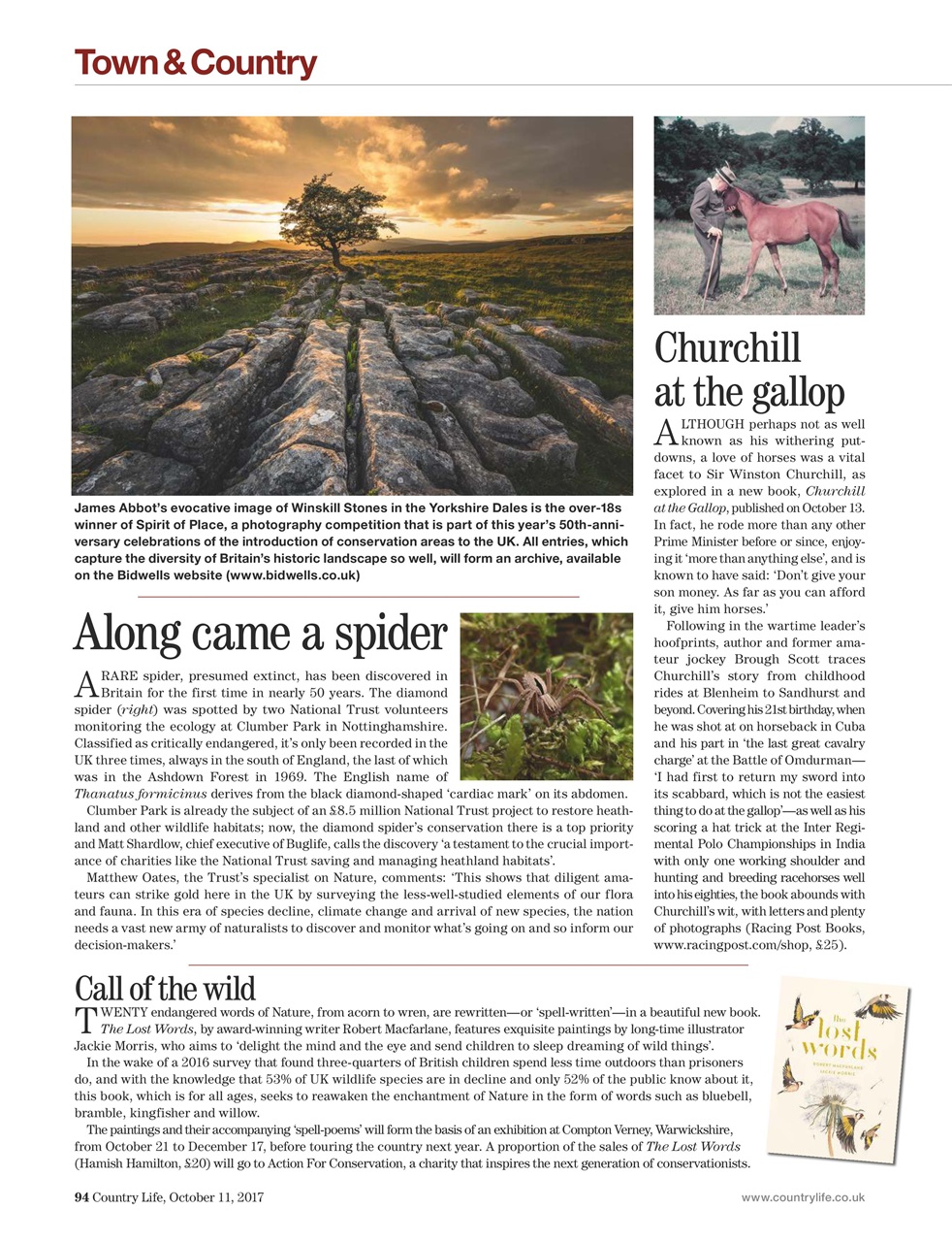 Country Life Preview Pages