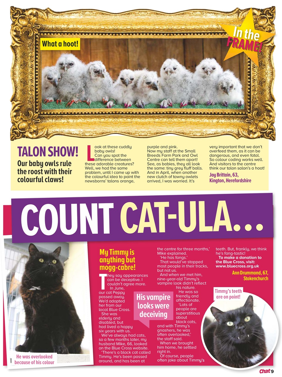 Chat Specials Preview Pages