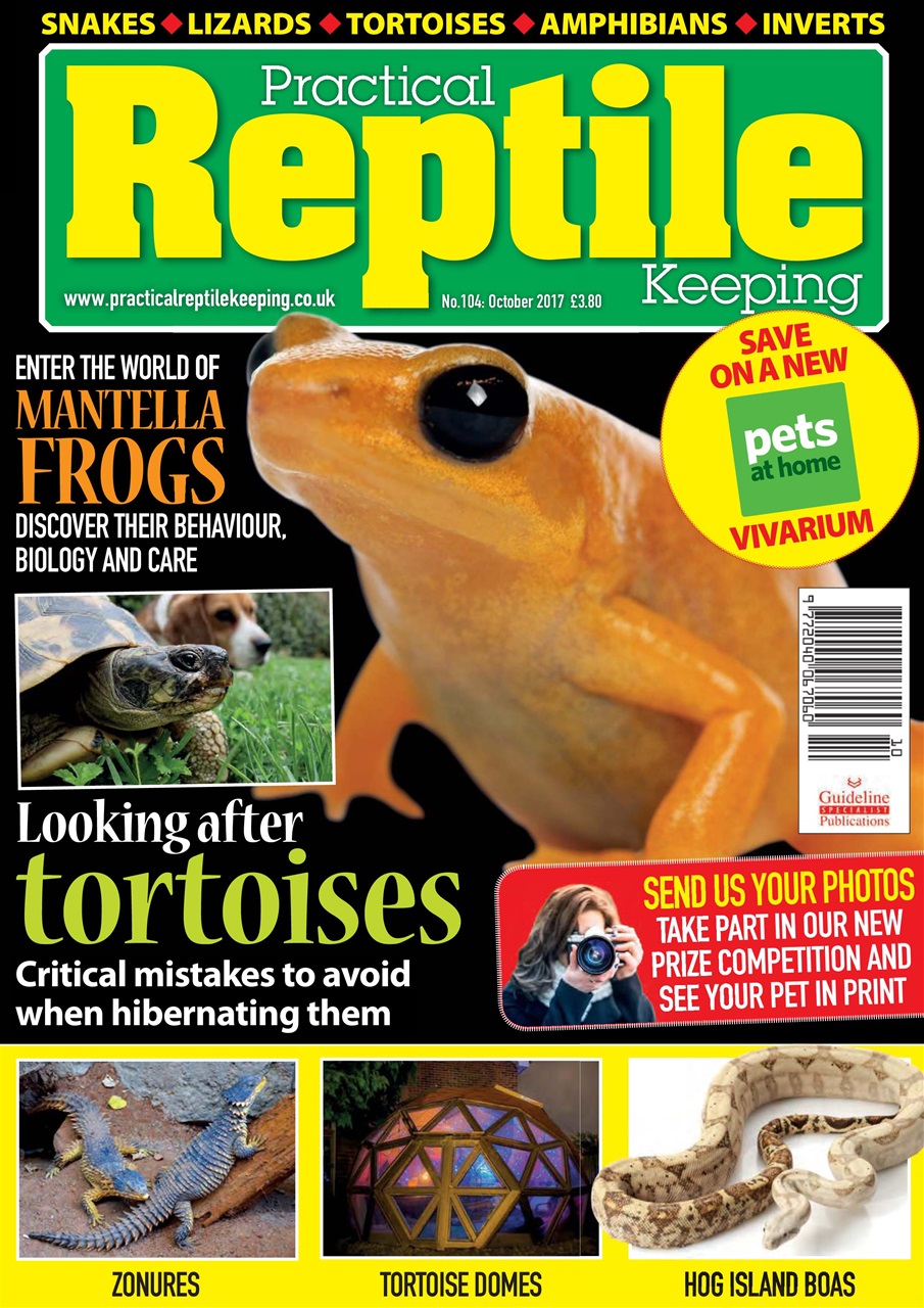 Practical Reptile Keeping Preview Pages