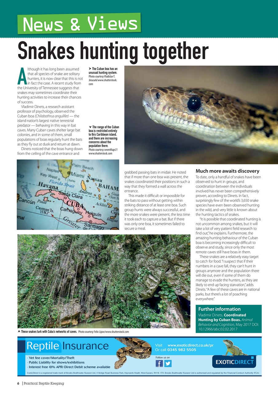 Practical Reptile Keeping Preview Pages