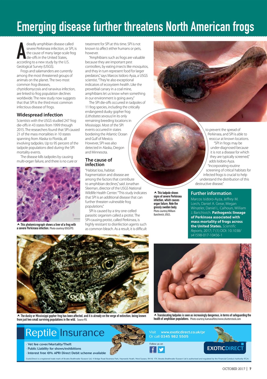 Practical Reptile Keeping Preview Pages