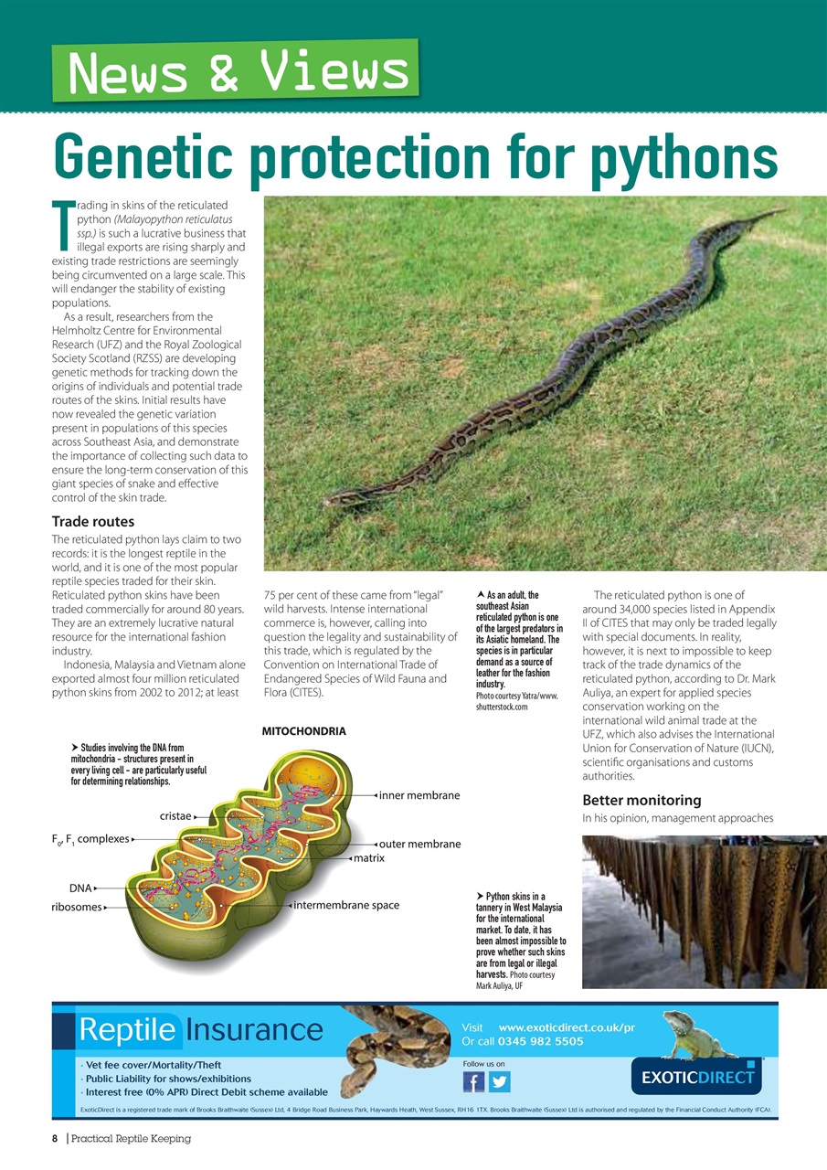 Practical Reptile Keeping Preview Pages