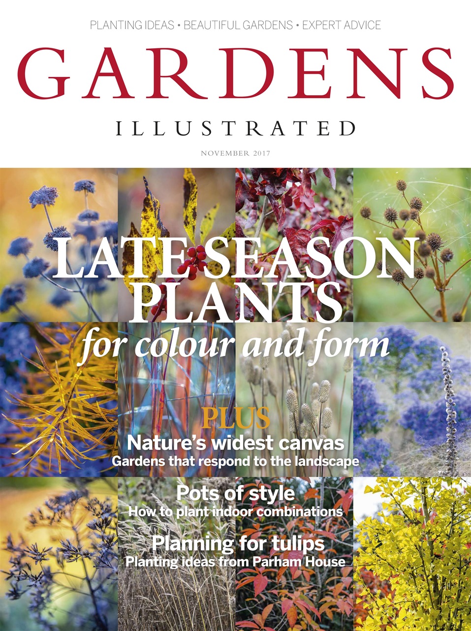 Gardens Illustrated Preview Pages