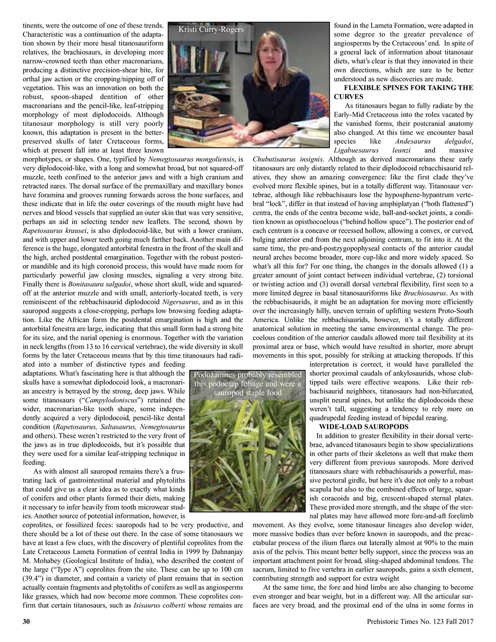 Prehistoric Times Preview Pages