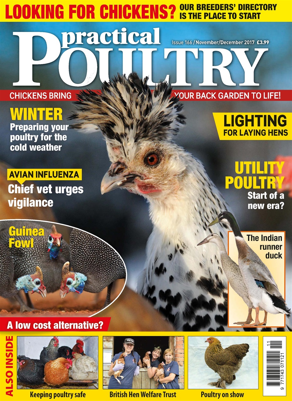 Practical Poultry Preview Pages