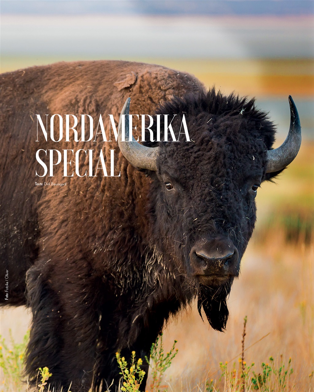 Mate Magazine Preview Pages