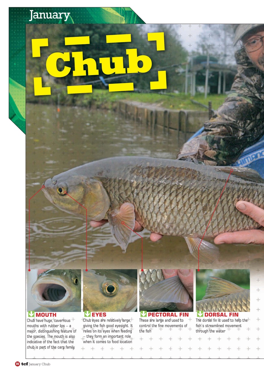 Fishing Reads Preview Pages