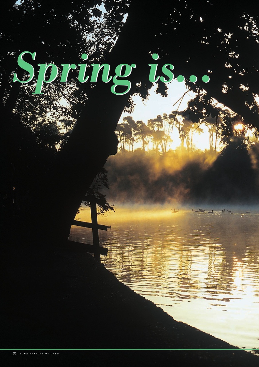 Fishing Reads Preview Pages