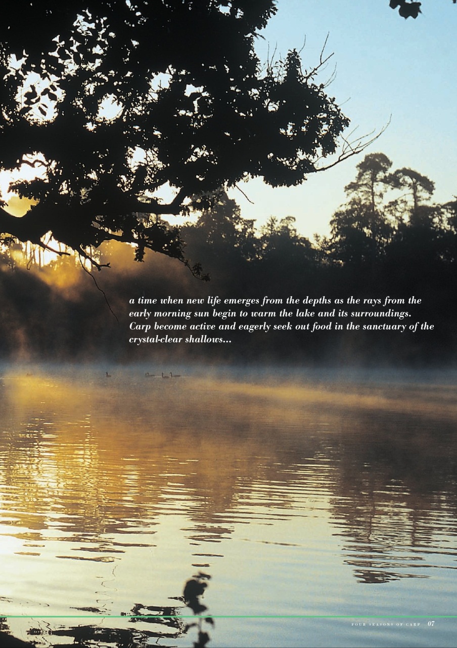 Fishing Reads Preview Pages