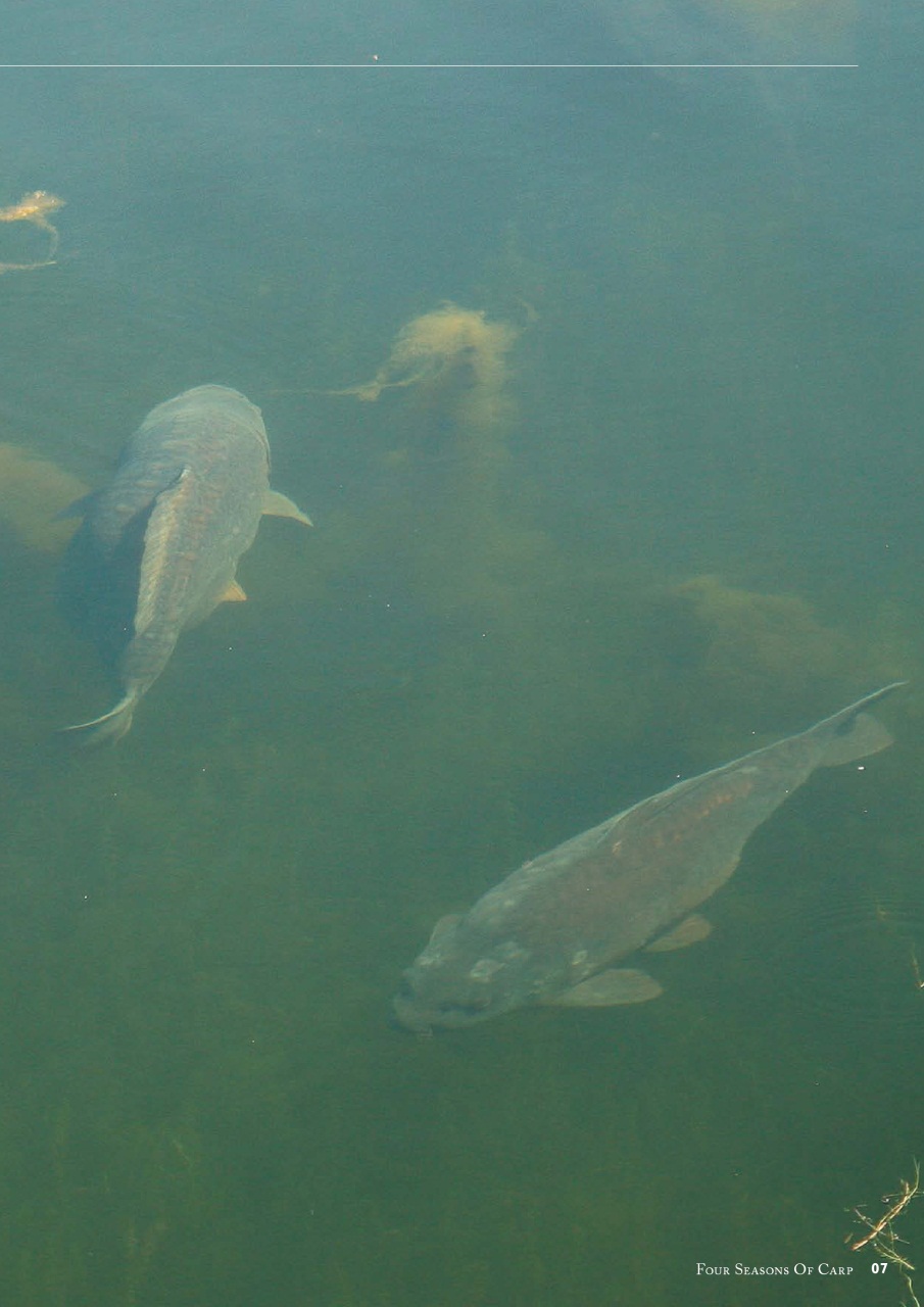 Fishing Reads Preview Pages