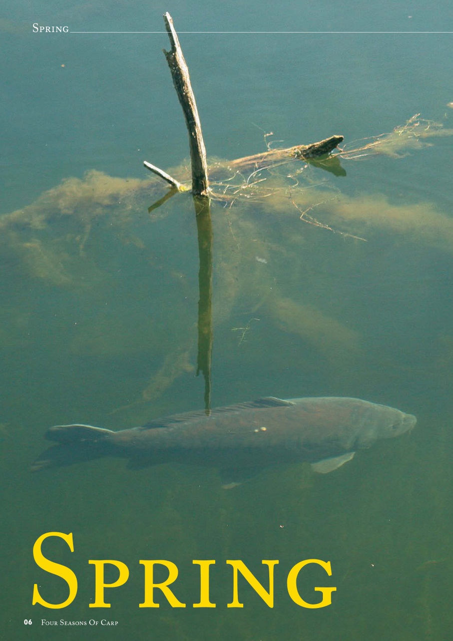 Fishing Reads Preview Pages