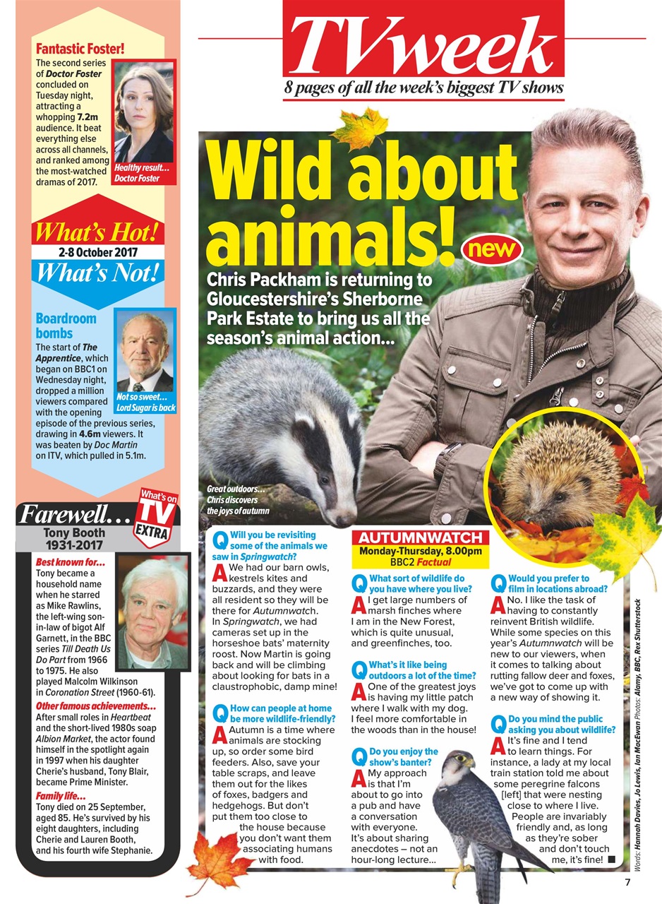 What's on TV Preview Pages