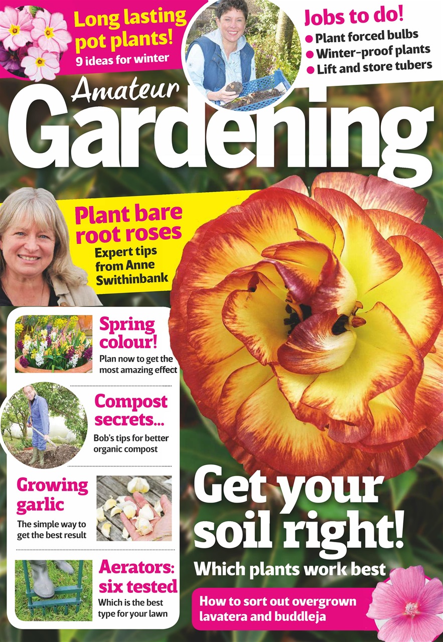 Amateur Gardening Preview Pages