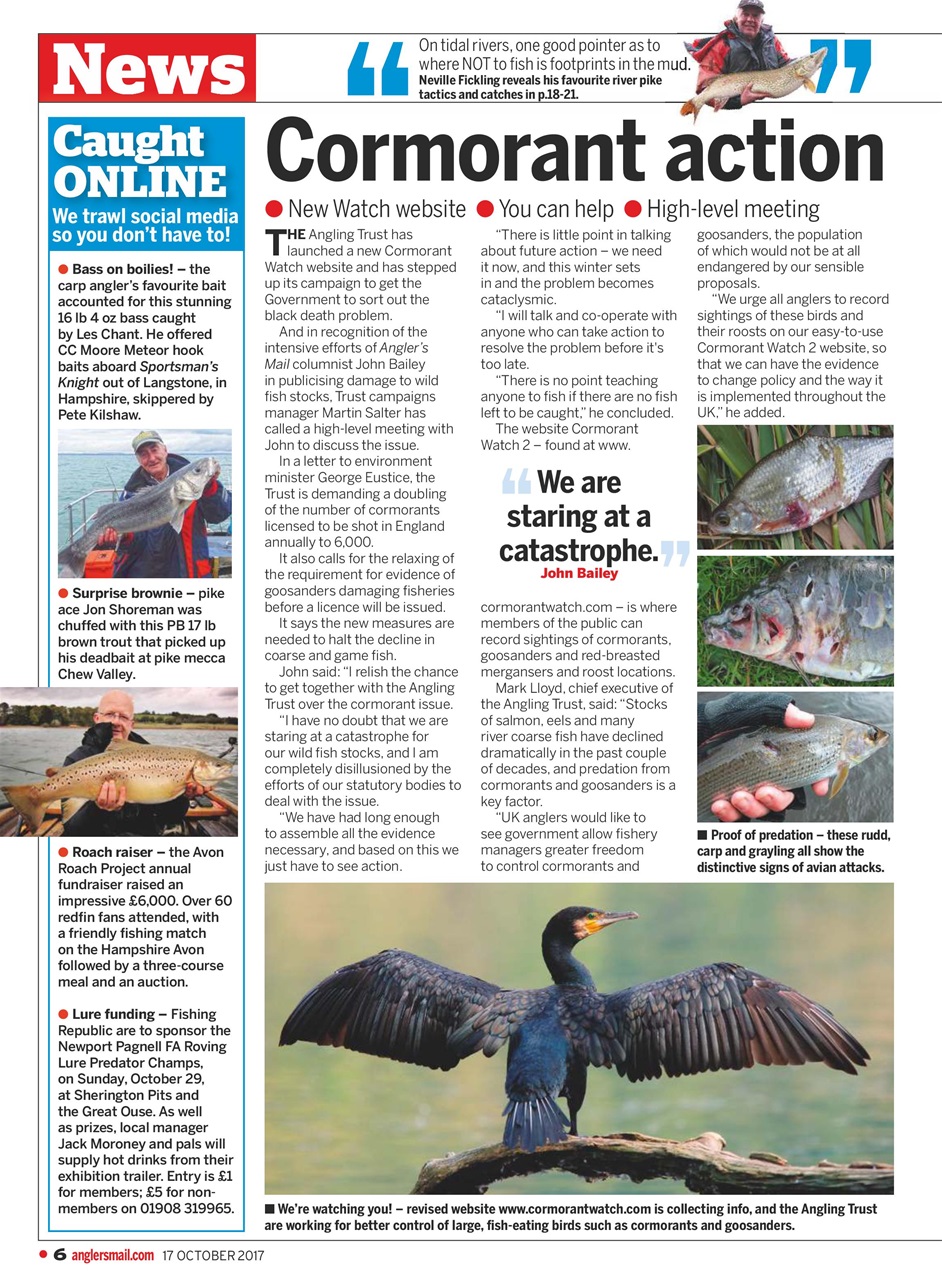Anglers Mail Preview Pages