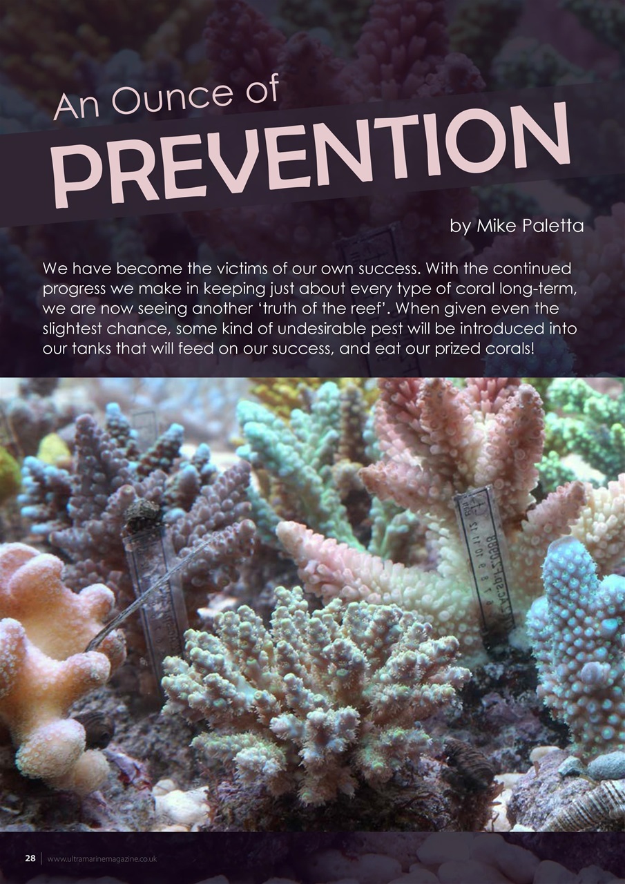 UltraMarine Magazine Preview Pages