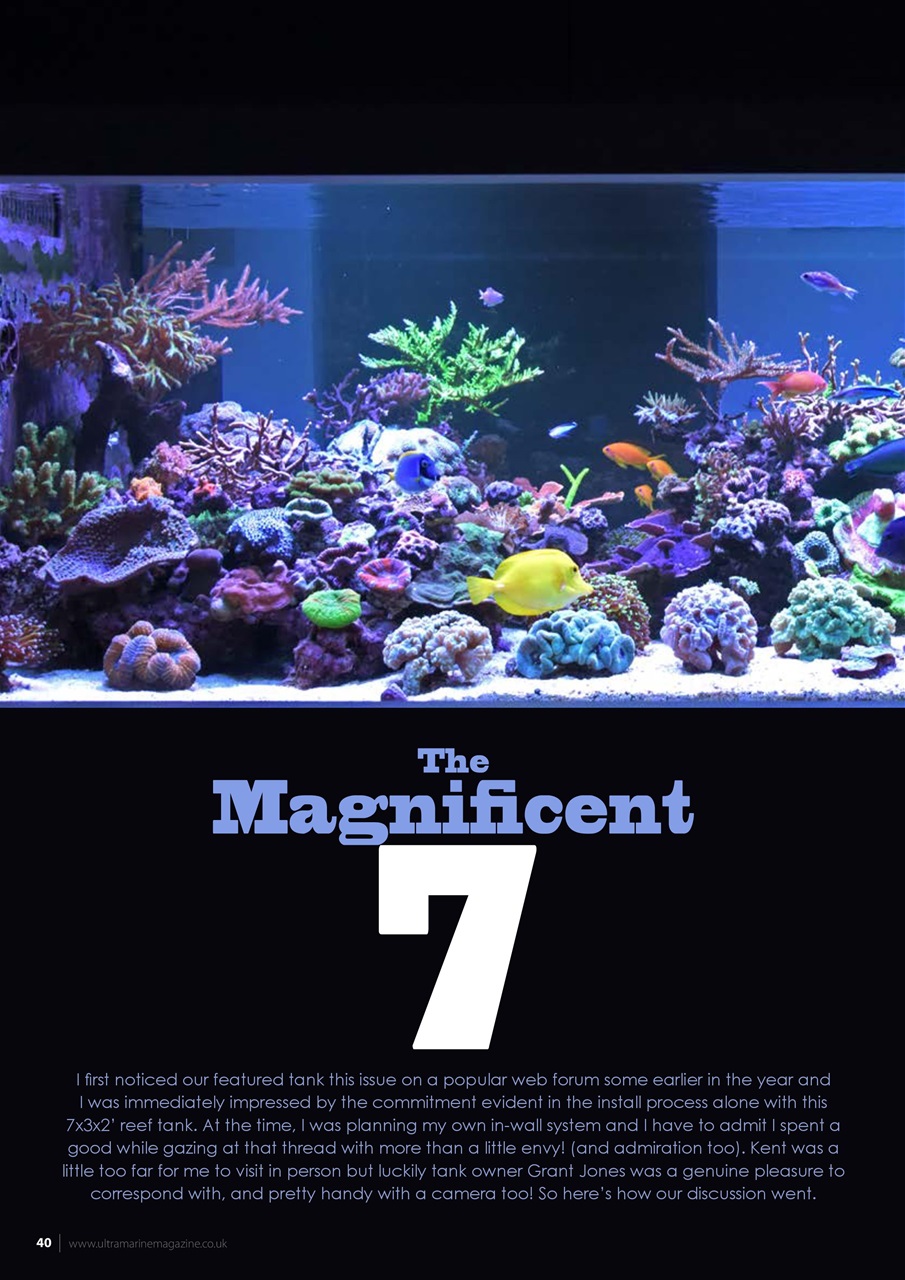 UltraMarine Magazine Preview Pages