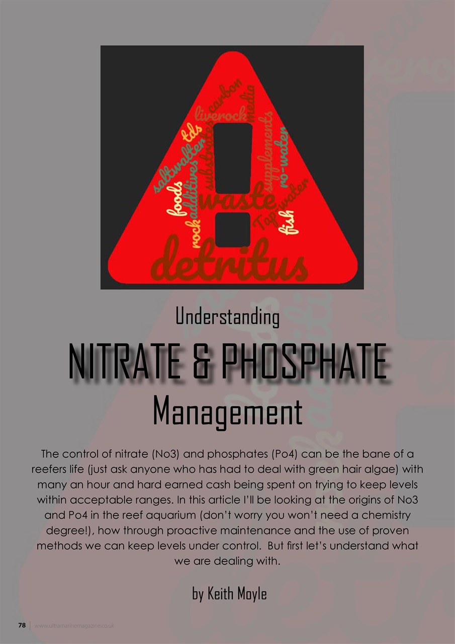 UltraMarine Magazine Preview Pages