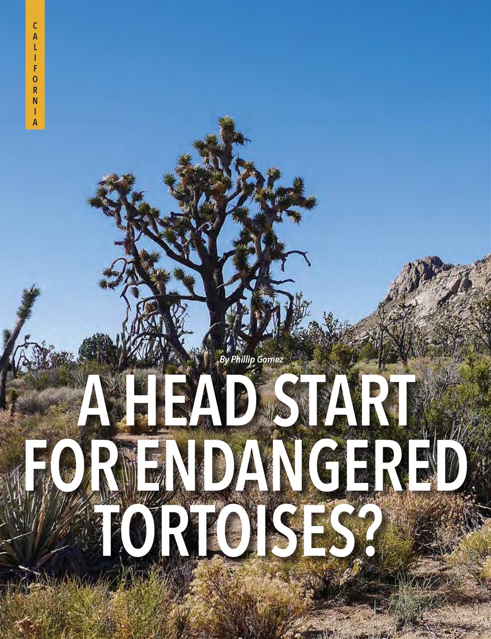 Snowbirds & RV Travelers Preview Pages