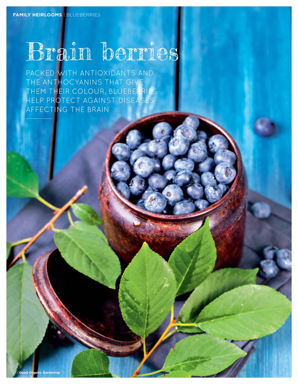 Good Organic Gardening Preview Pages