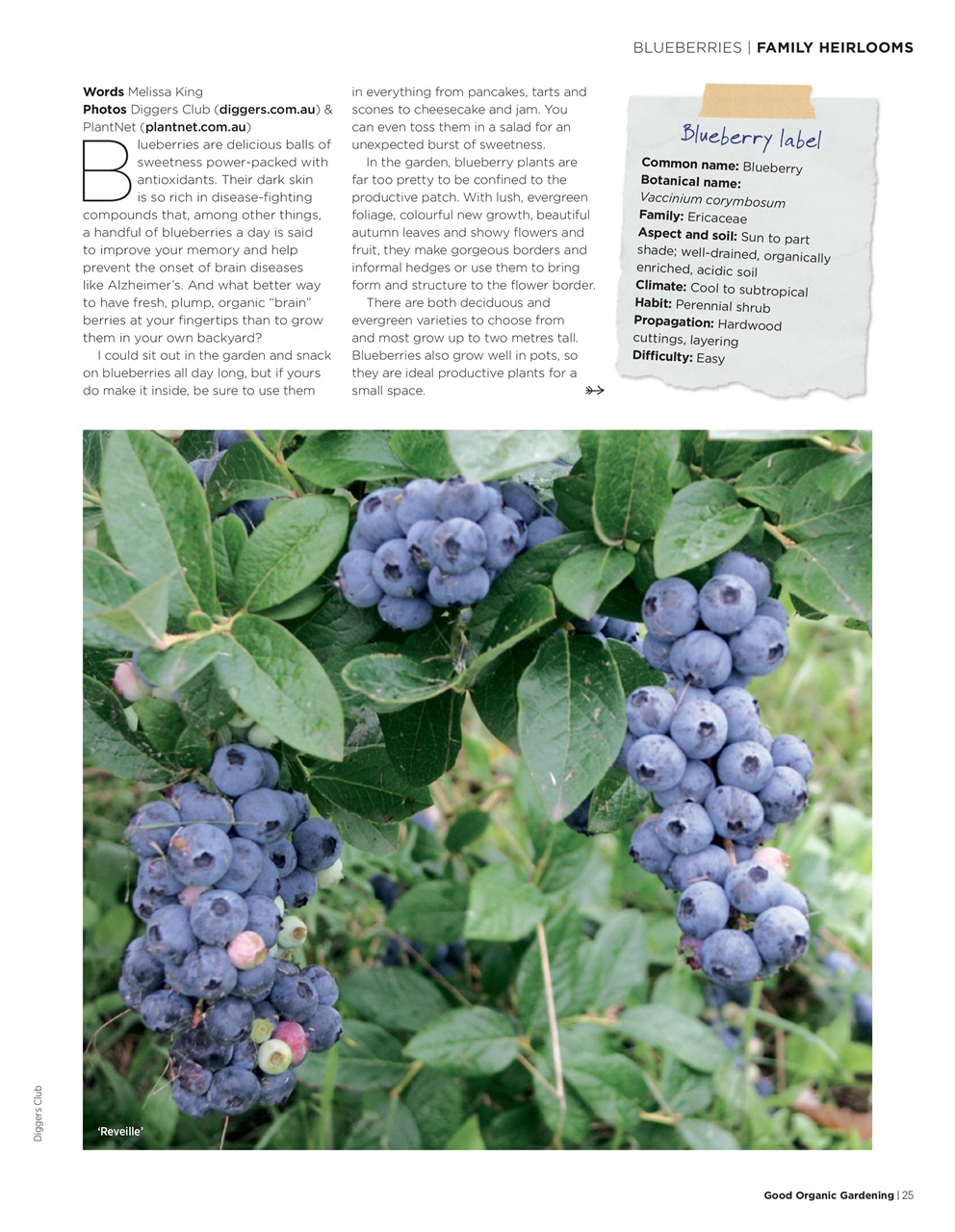 Good Organic Gardening Preview Pages