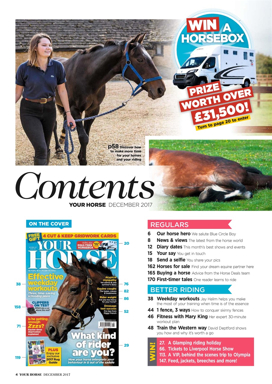 Your Horse Preview Pages