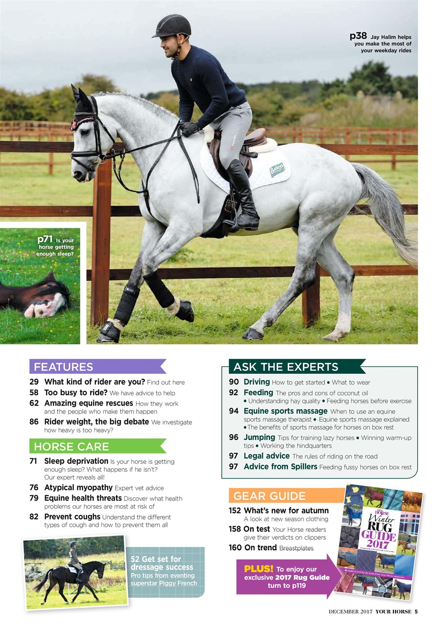 Your Horse Preview Pages