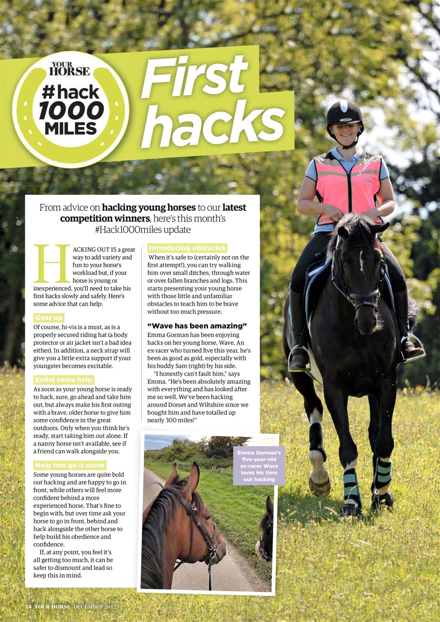 Your Horse Preview Pages