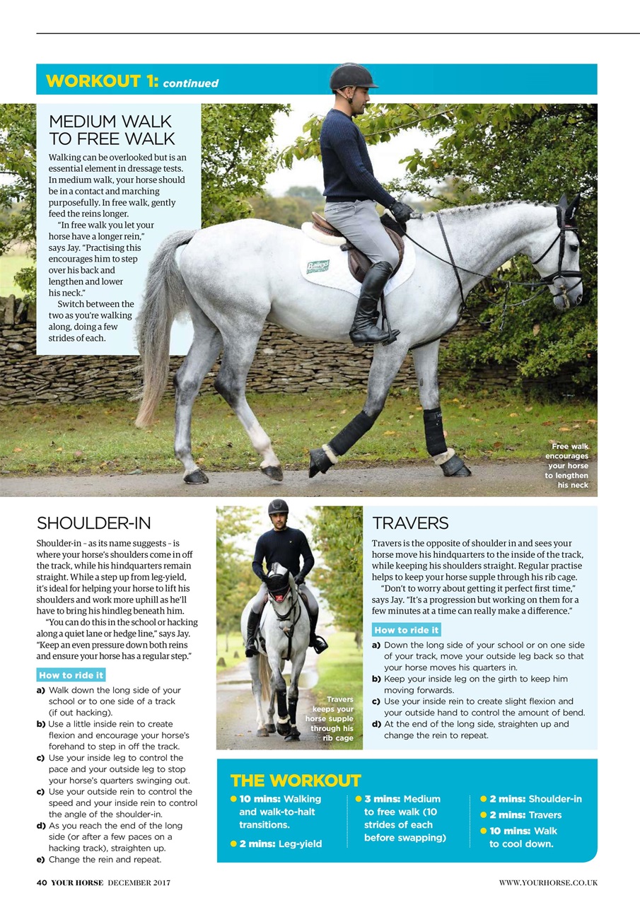 Your Horse Preview Pages