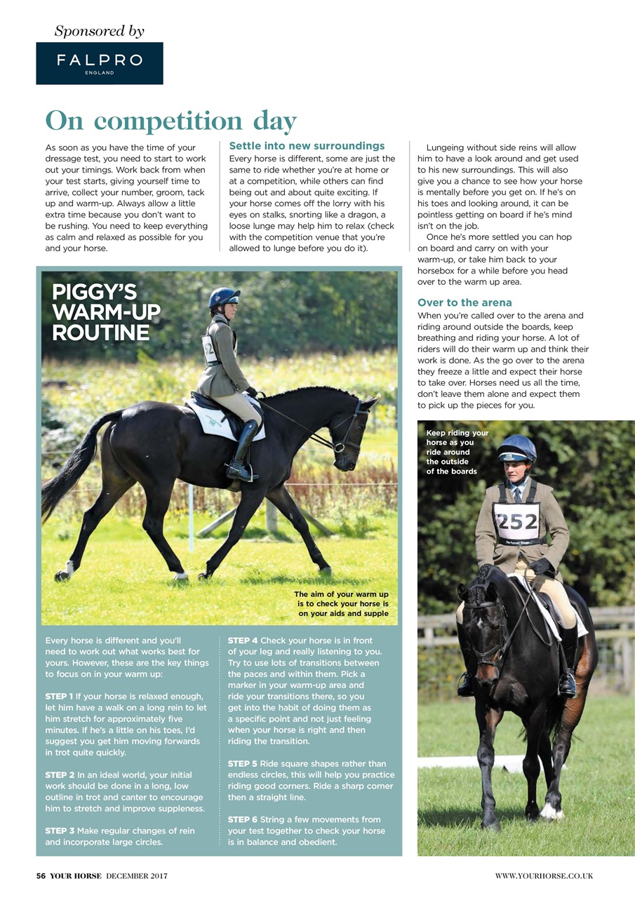 Your Horse Preview Pages