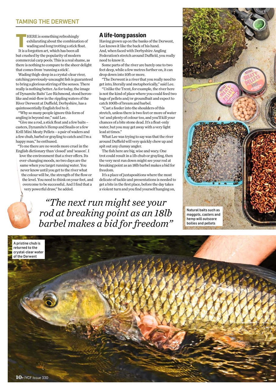 Improve Your Coarse Fishing Preview Pages