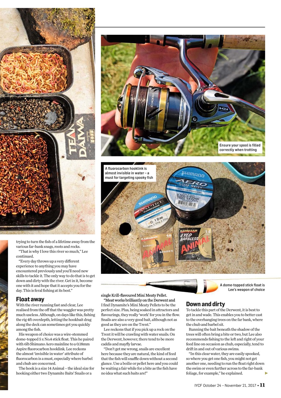 Improve Your Coarse Fishing Preview Pages
