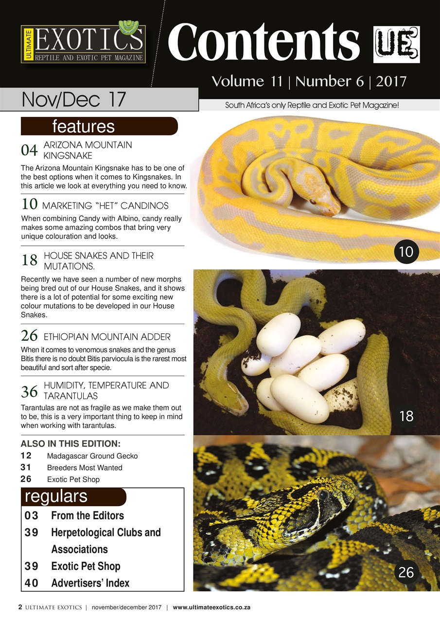 Ultimate Exotics Preview Pages