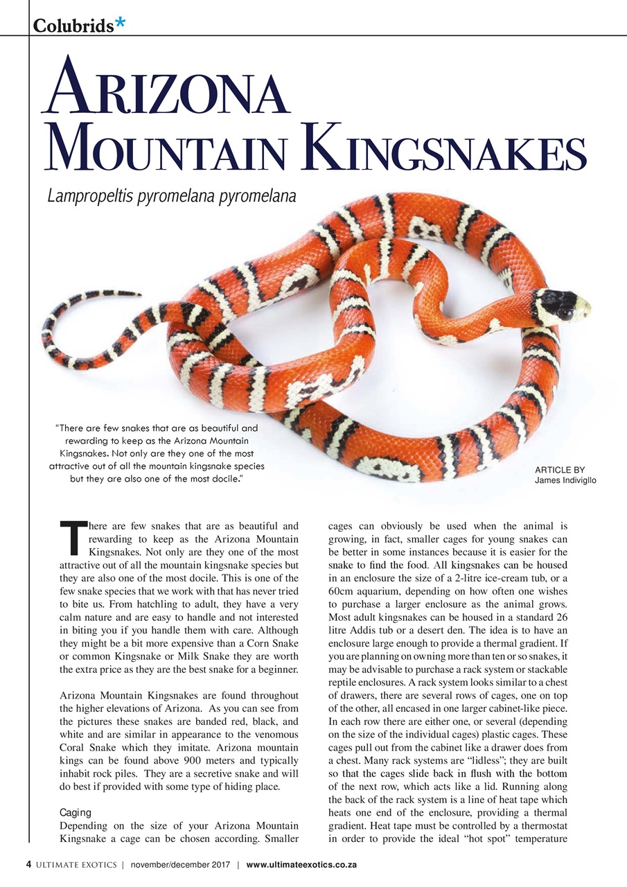 Ultimate Exotics Preview Pages