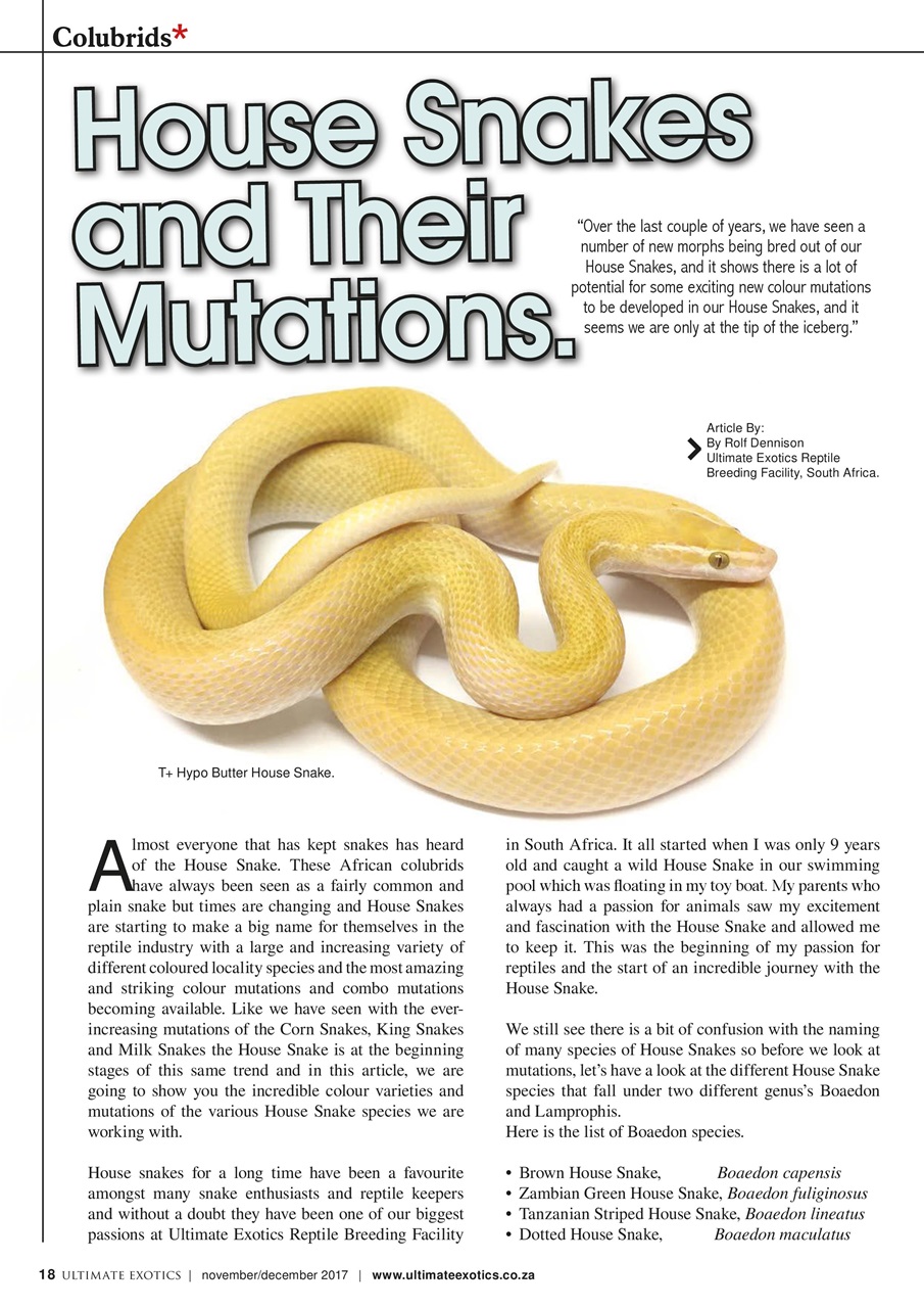 Ultimate Exotics Preview Pages