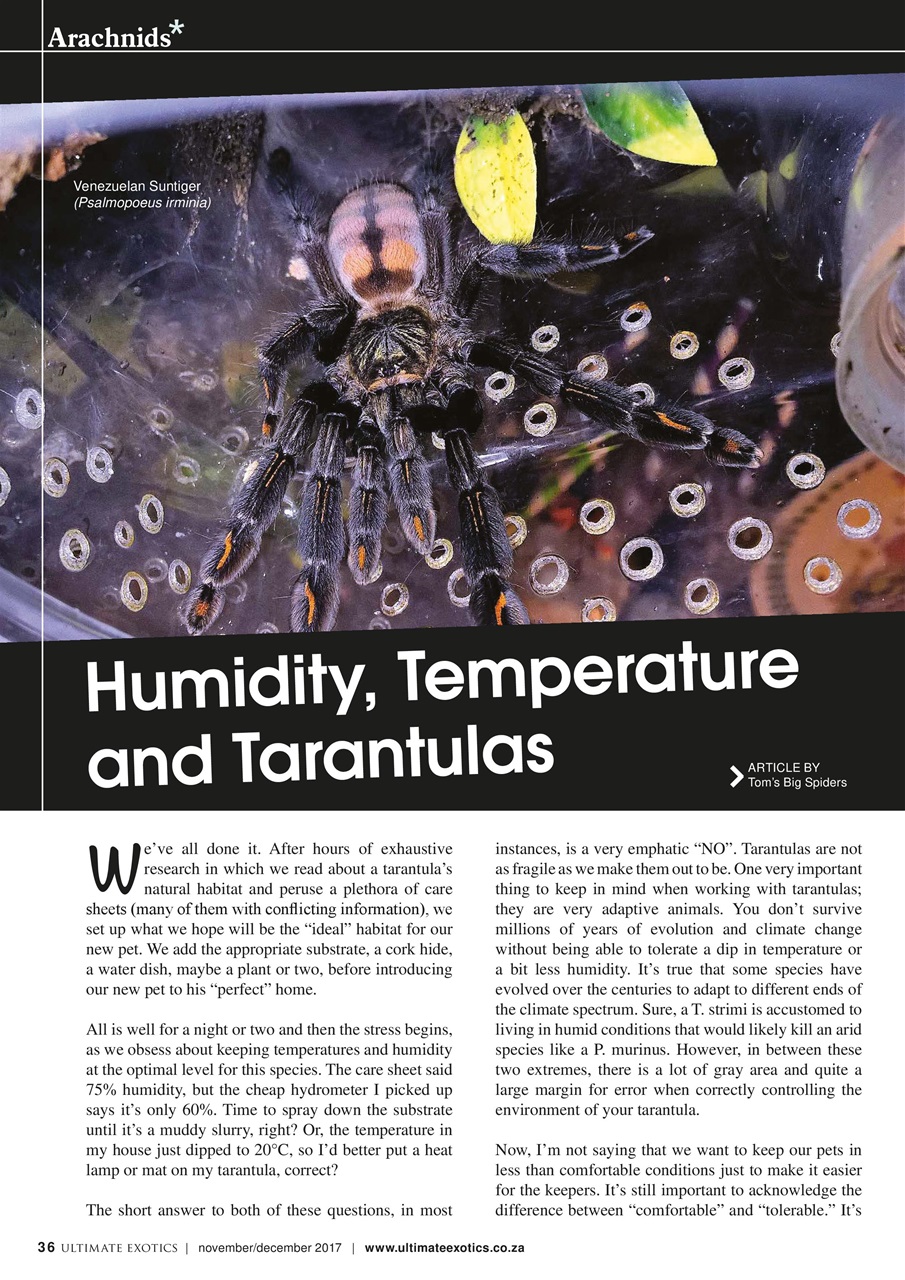 Ultimate Exotics Preview Pages