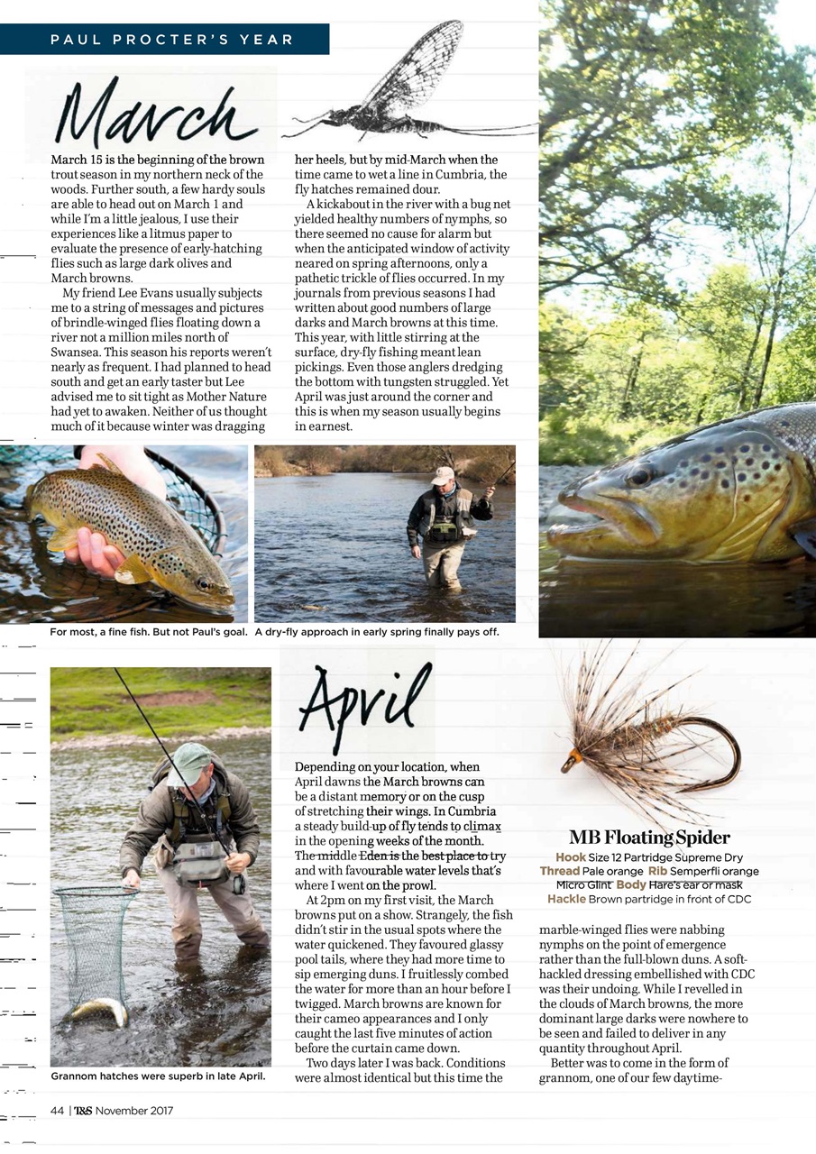 Trout & Salmon Preview Pages