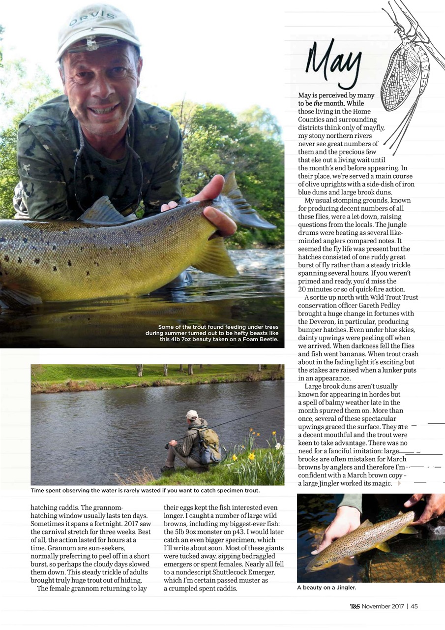 Trout & Salmon Preview Pages