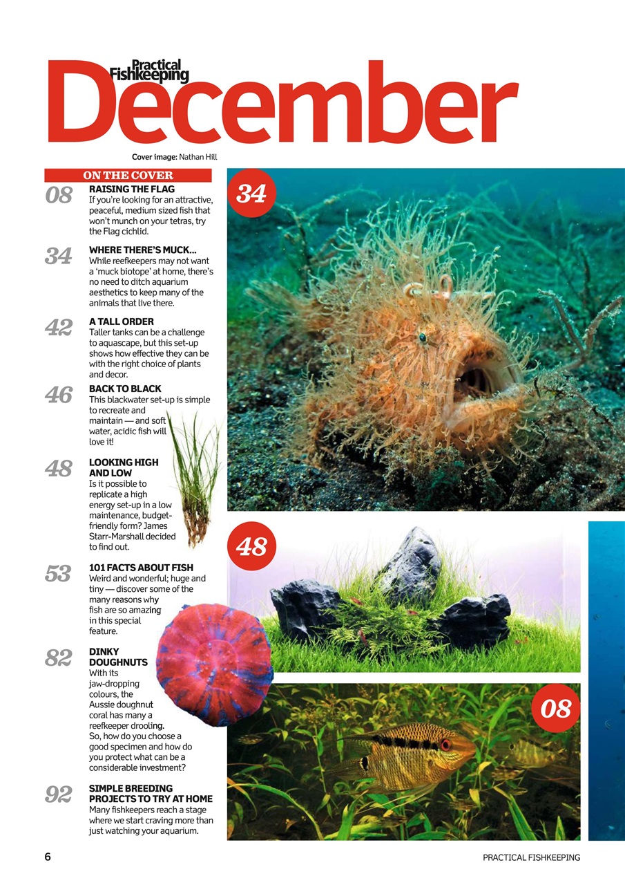 Practical Fishkeeping Preview Pages